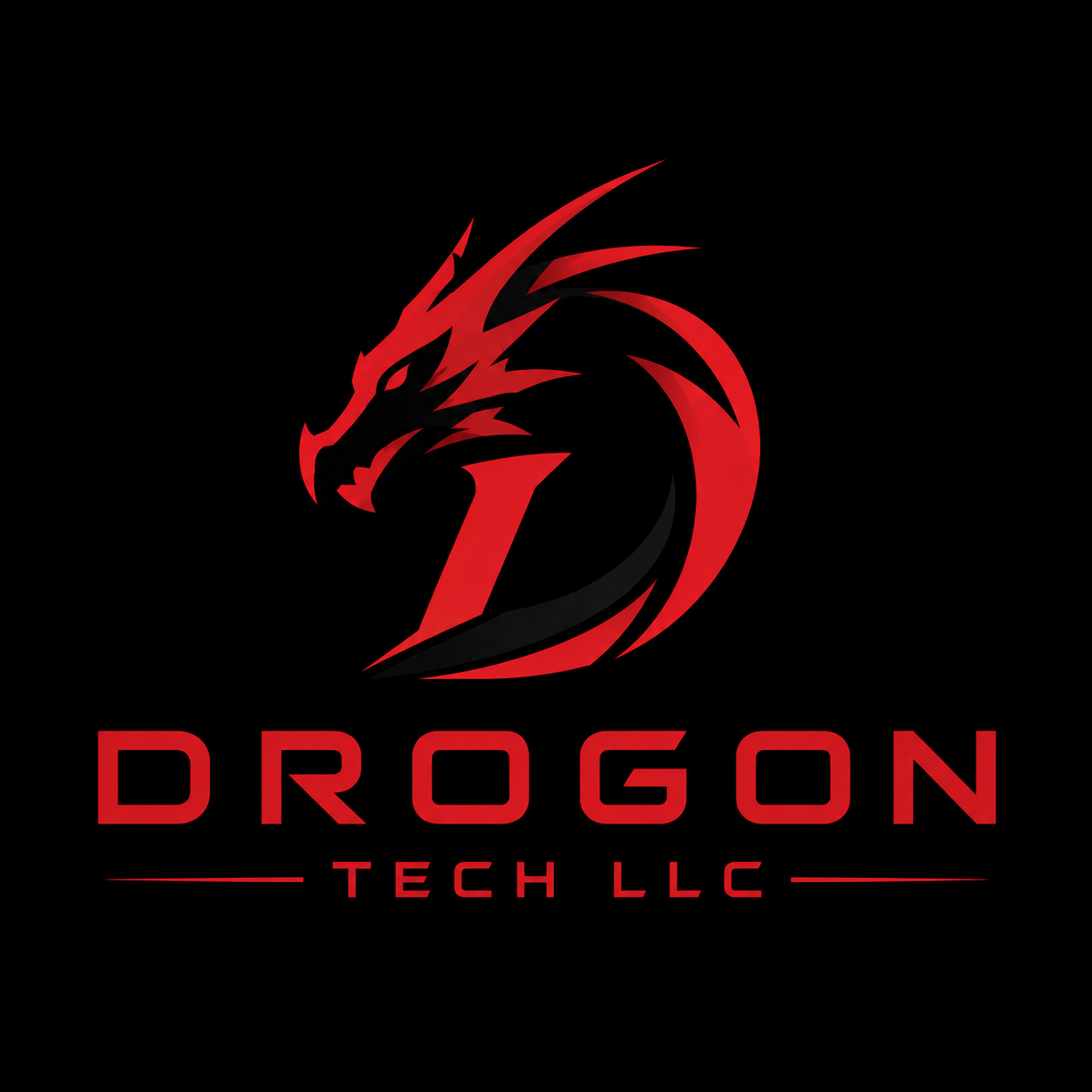DrogonTech LLC
